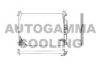 AUTOGAMMA 102829 Condenser, air conditioning